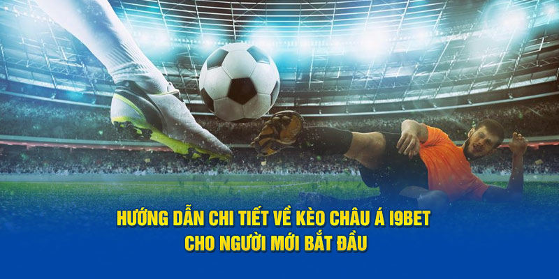 Một số thông tin soi kèo bổ ích dành cho người chơi