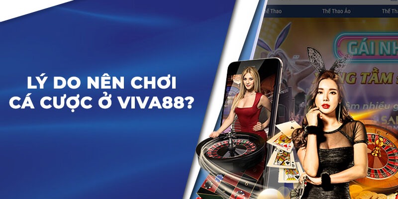 Lý do các bạn nên giải trí tại nhà cái Viva88