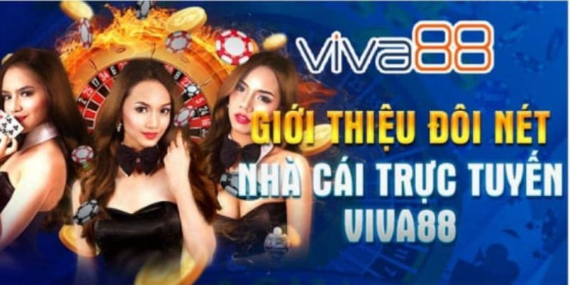 Sơ lược về viva88